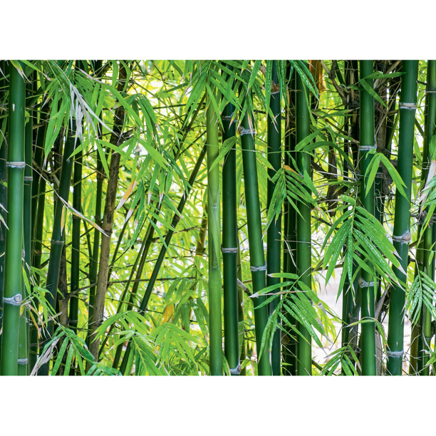 Фотообои флизелиновые Бамбук 254x184 см от магазина ЛесКонПром.ру