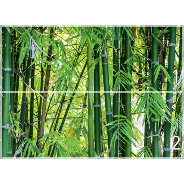 Фотообои флизелиновые Бамбук 254x184 см от магазина ЛесКонПром.ру