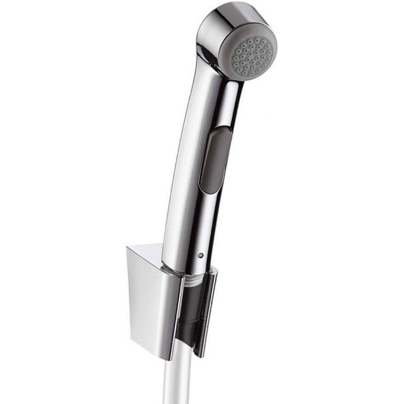 Гигиенический душ Hansgrohe 96907000 Хром от магазина ЛесКонПром.ру