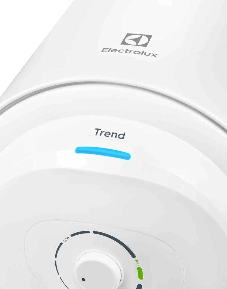 Накопительный водонагреватель Electrolux Trend EWH 100 Trend электрический от магазина ЛесКонПром.ру