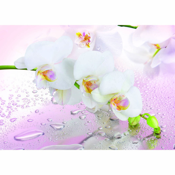 Фотообои бумажные Розовый мираж 194х272 см от магазина ЛесКонПром.ру