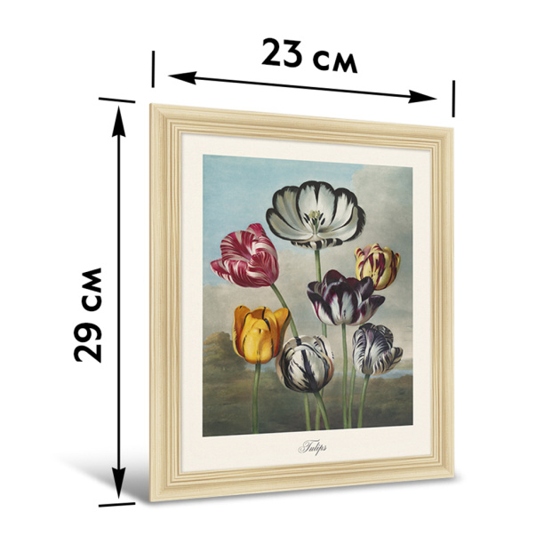 Картина на стекле Самии 30х30 см от магазина ЛесКонПром.ру