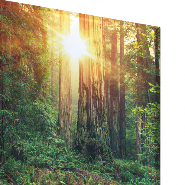 Канвас Северная Калифорния 60х90 см от магазина ЛесКонПром.ру