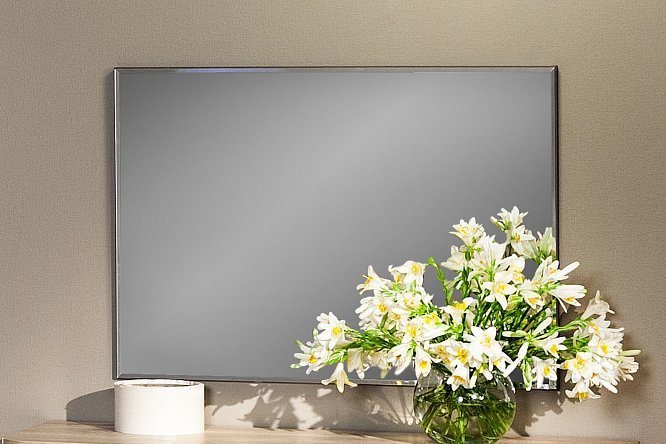 Панель с зеркалом Бруна 80105570 от магазина ЛесКонПром.ру