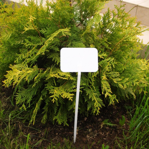 Табличка садовая 5 шт от магазина ЛесКонПром.ру