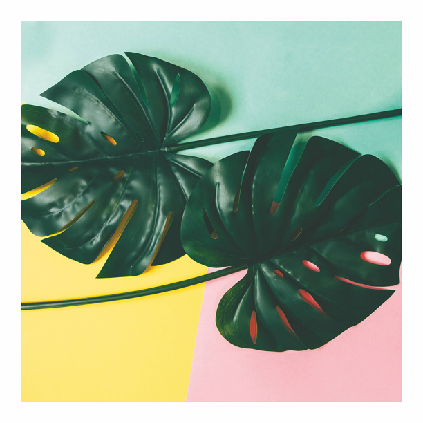 Канвас 50х70 см Белый парусник от магазина ЛесКонПром.ру