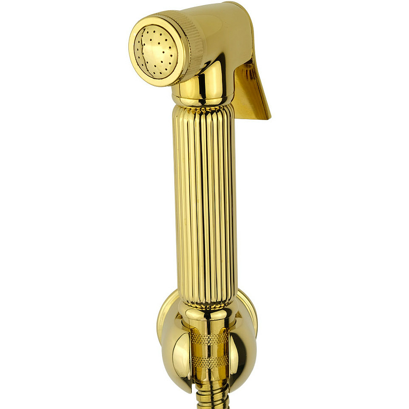 Гигиенический душ Veragio Kit 30826 Золото от магазина ЛесКонПром.ру