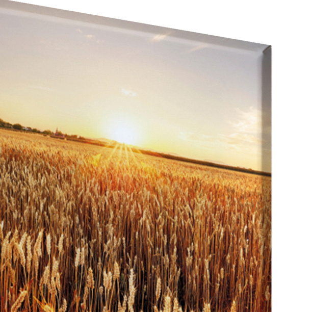 Канвас Калифорния 40х40 см от магазина ЛесКонПром.ру