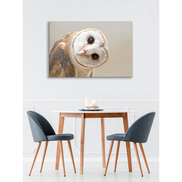 Канвас Любопытная сова 60х90 см от магазина ЛесКонПром.ру