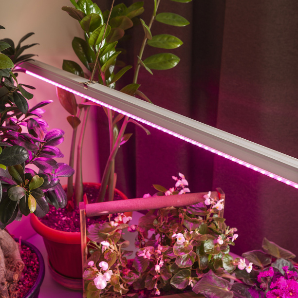 Светильник для растений линейный Эра 18 Вт LED Т5 полный спектр от магазина ЛесКонПром.ру