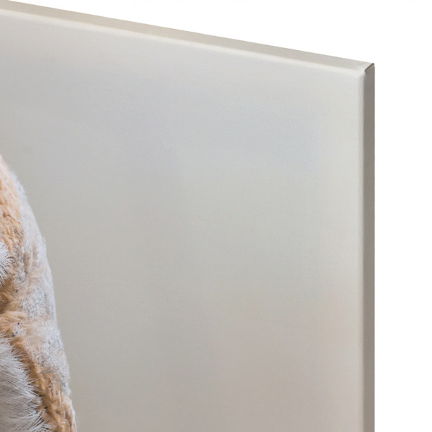 Канвас Любопытная сова 60х90 см от магазина ЛесКонПром.ру