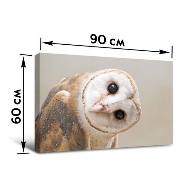 Канвас Любопытная сова 60х90 см от магазина ЛесКонПром.ру