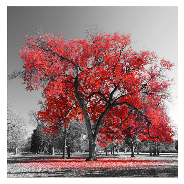 Картина на стекле Красное дерево 30х30 см от магазина ЛесКонПром.ру