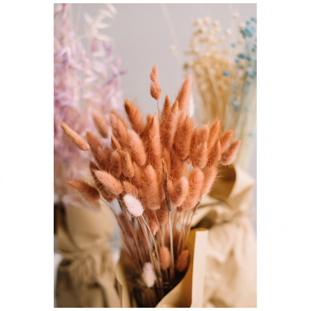 Канвас Сухоцветы 60х90 см от магазина ЛесКонПром.ру