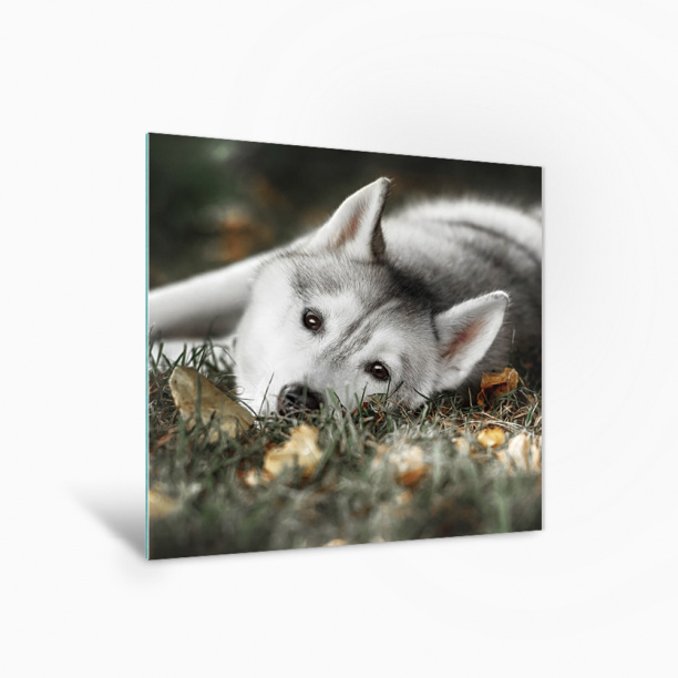 Канвас Eat Drink smile 22х22 см микс от магазина ЛесКонПром.ру