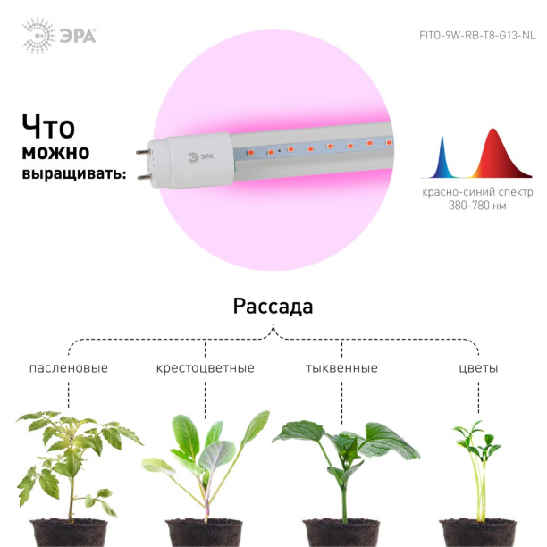Фитолампа для растений Эра 10 Вт Е27 LED красно-синий спектр от магазина ЛесКонПром.ру