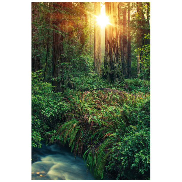 Канвас Северная Калифорния 60х90 см от магазина ЛесКонПром.ру