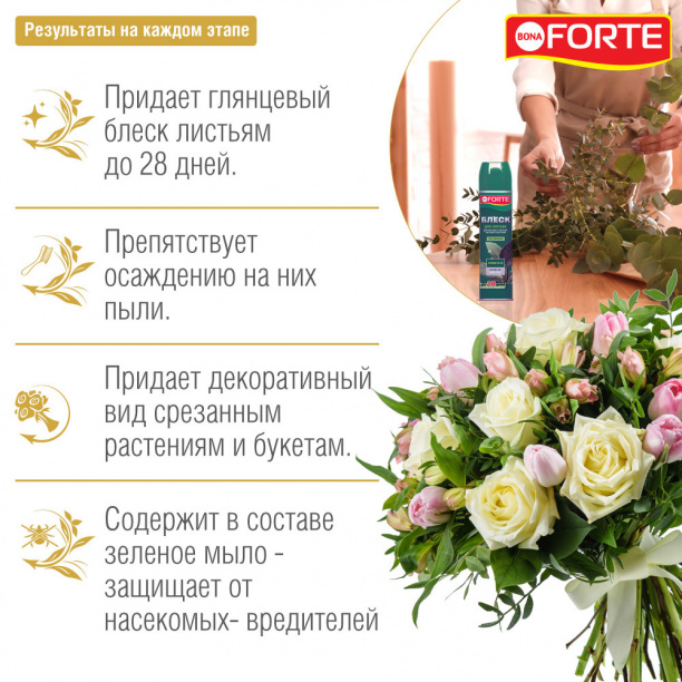 Блеск-аэрозоль для листьев Bona Forte 300 мл от магазина ЛесКонПром.ру