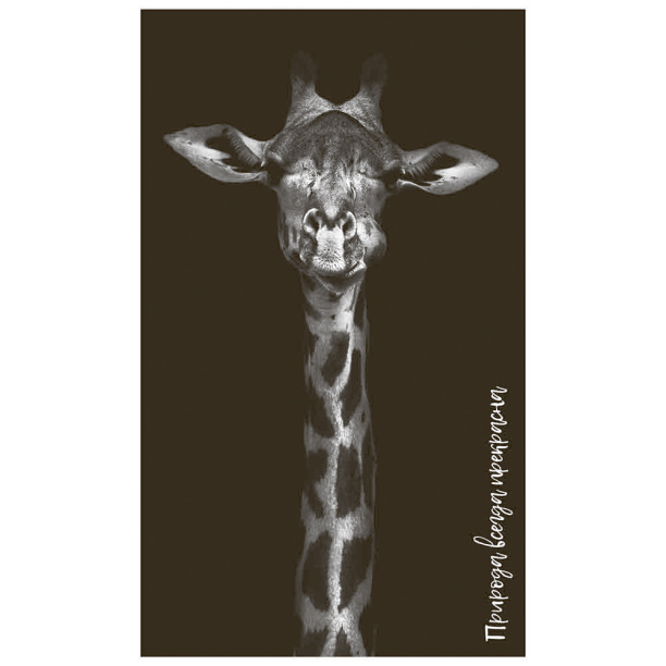 Картина Жираф 40х68 см на ПВХ от магазина ЛесКонПром.ру