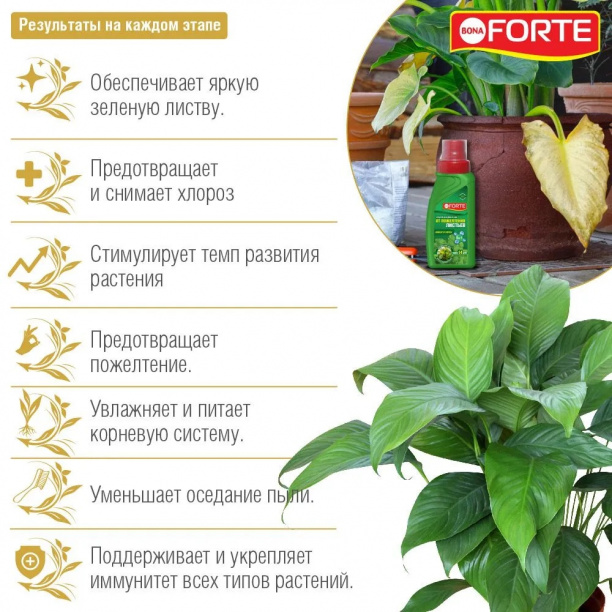 Средство от пожелтения листьев 4в1 Bona Forte 285 мл от магазина ЛесКонПром.ру