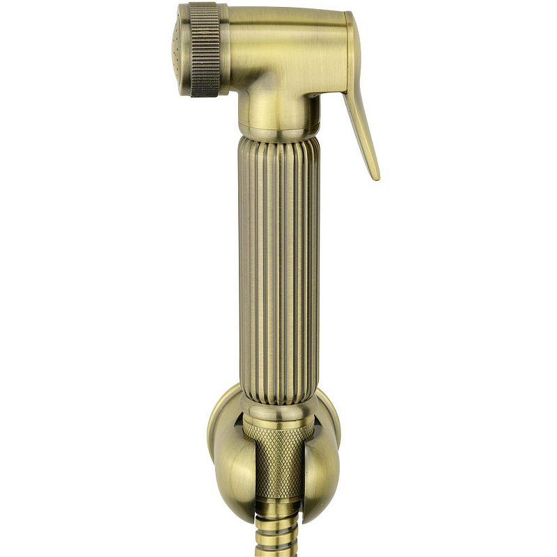 Гигиенический душ Veragio Kit 30811 Бронза от магазина ЛесКонПром.ру