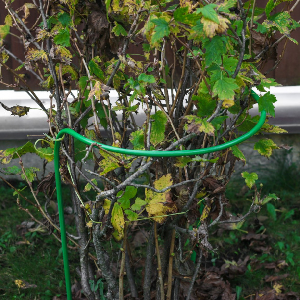 Кустодержатель Большой 90x47 см от магазина ЛесКонПром.ру