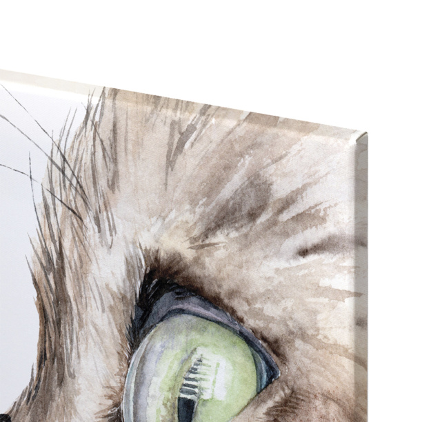 Канвас Котенок и бабочка 40х50 см от магазина ЛесКонПром.ру