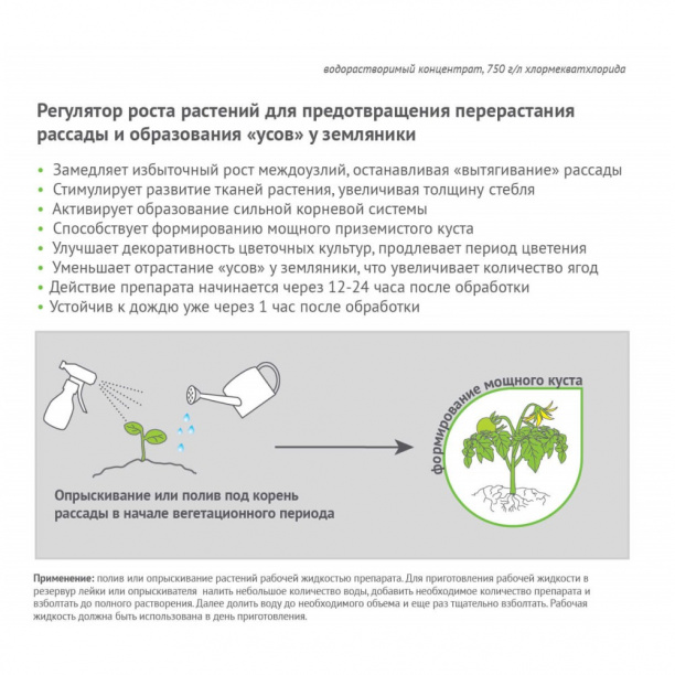 Регулятор роста растений Рэгги Avgust 1 мл от магазина ЛесКонПром.ру