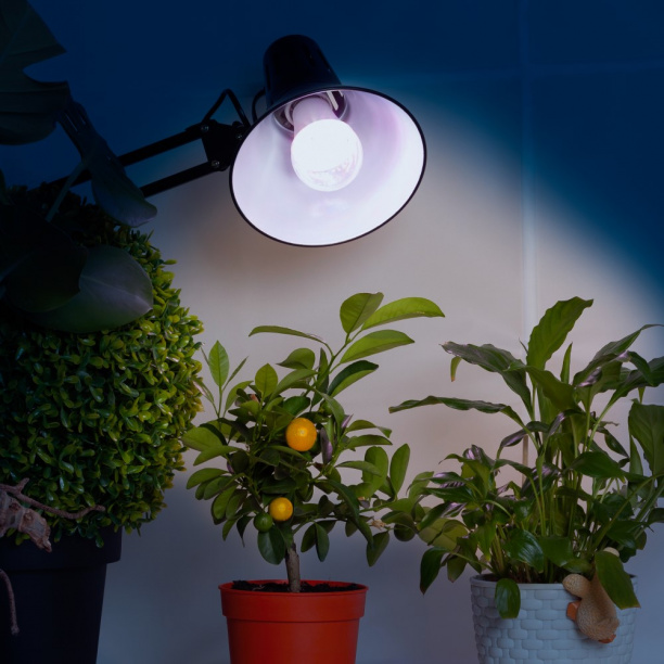 Фитолампа для растений Эра 11 Вт Е27 LED полный спектр от магазина ЛесКонПром.ру