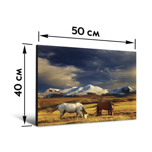 Декопанно Лошади 40х50 см от магазина ЛесКонПром.ру