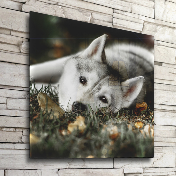 Канвас Eat Drink smile 22х22 см микс от магазина ЛесКонПром.ру