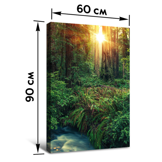 Канвас Северная Калифорния 60х90 см от магазина ЛесКонПром.ру