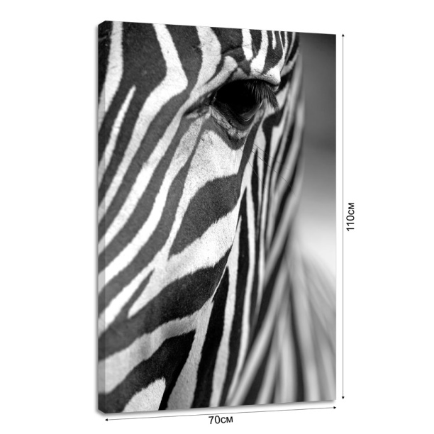 Канвас 70х110 см Зебра от магазина ЛесКонПром.ру