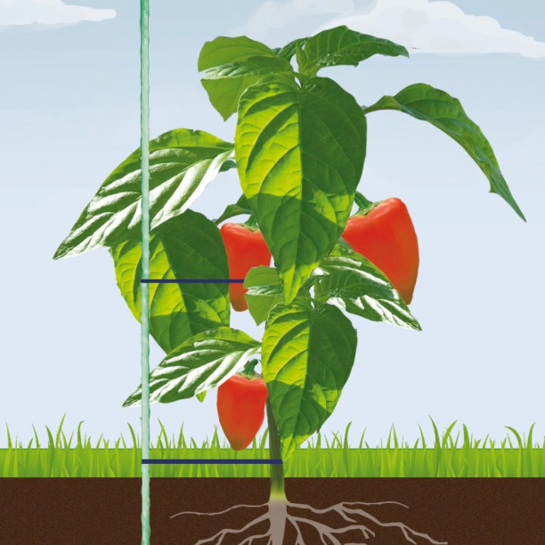 Поддержка стеклопластиковая h210 см от магазина ЛесКонПром.ру