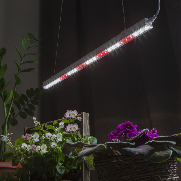 Светильник для растений линейный Эра 9 Вт LED Т5 полный спектр от магазина ЛесКонПром.ру