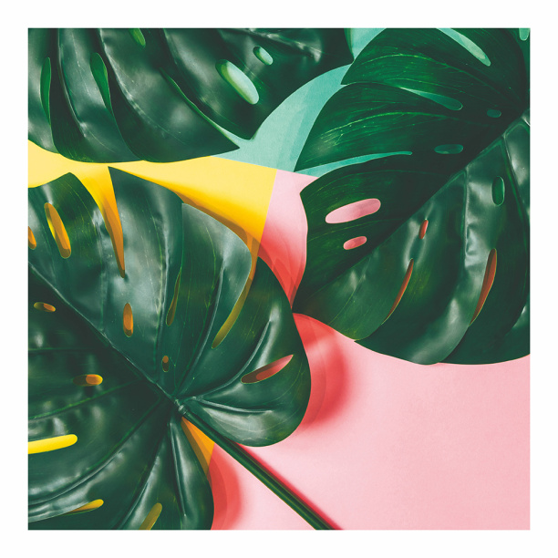 Канвас 40х50 см Девушка Арт от магазина ЛесКонПром.ру