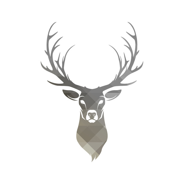 Канвас Лама №2 31х38 см от магазина ЛесКонПром.ру