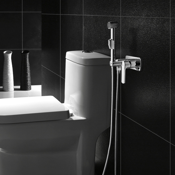 Гигиенический душ LeMark Plus Grace встраиваемый от магазина ЛесКонПром.ру