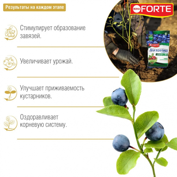 Удобрение для голубики с цеолитом Bona Forte 2,5 кг от магазина ЛесКонПром.ру